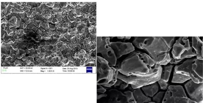 梁平梁平蔡司梁平扫描电镜