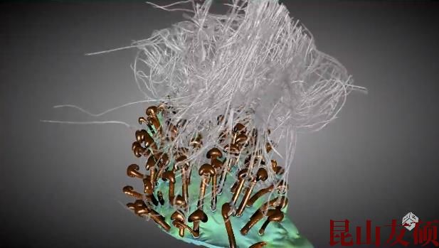 梁平蔡司梁平X射线显微镜